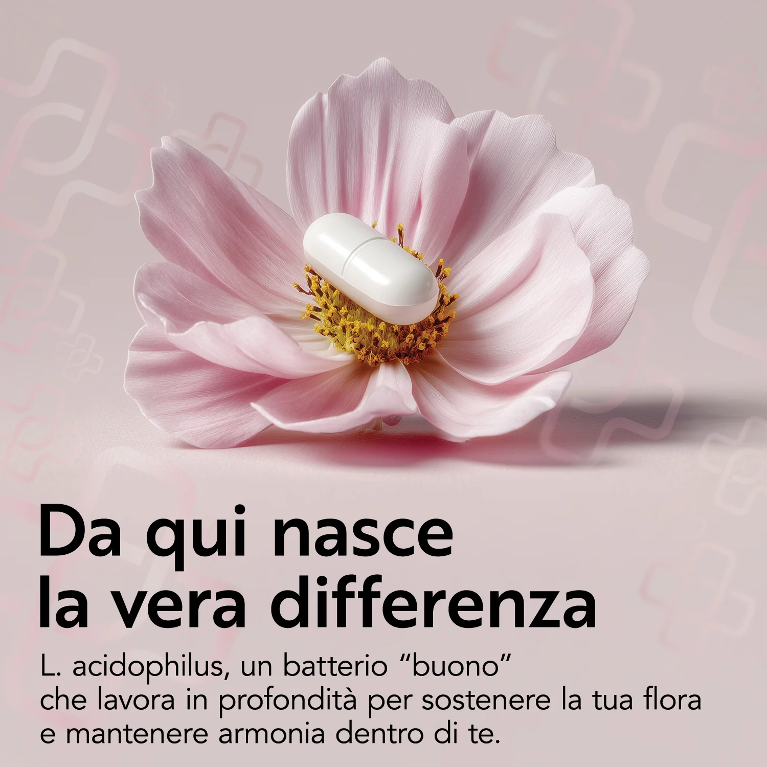 Immagine prodotto 3